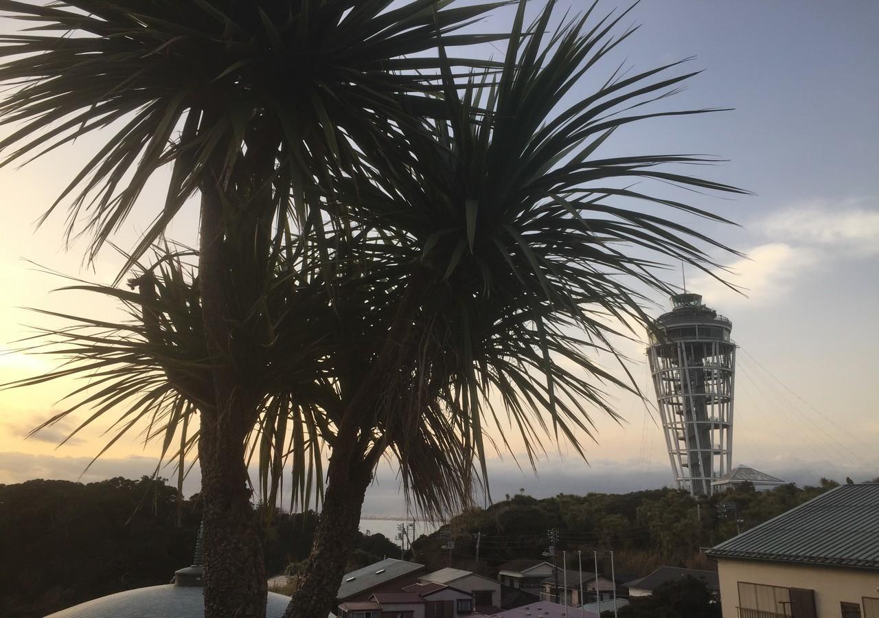 ホテルウィングインターナショナル湘南藤沢 藤沢市 エクステリア 写真